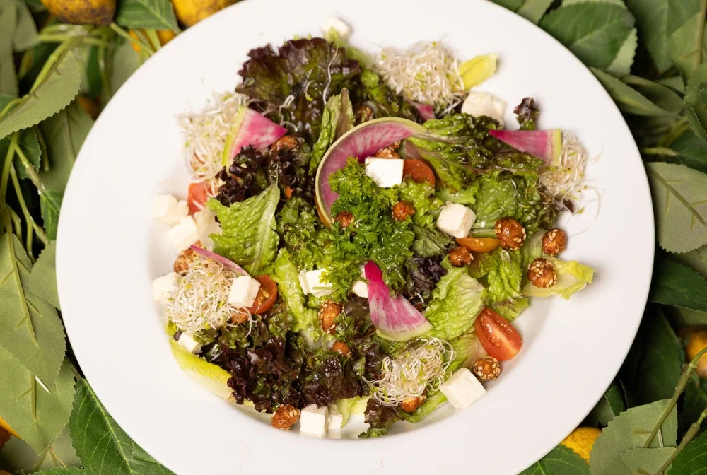 blog1-elhuerto-alimentacion-consciente blog1-elhuerto-alimentacion-consciente